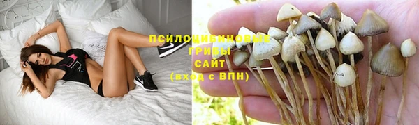 каннабис Алзамай